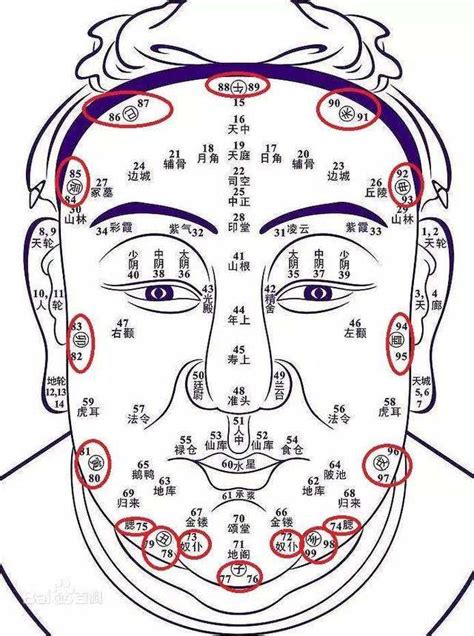 羊眼 面相|專家解析:羊眼面相的5大特徵